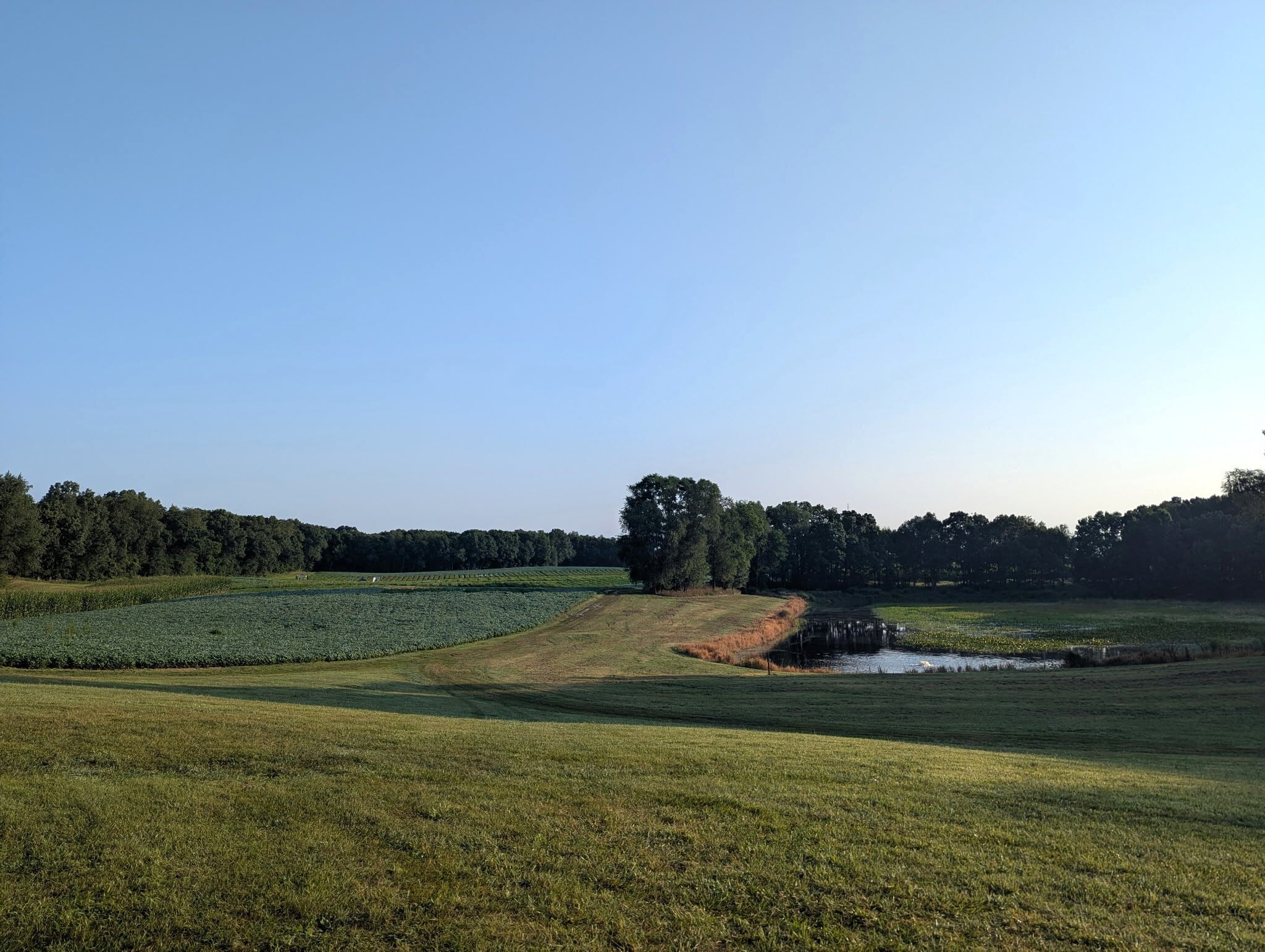 From the Field: Trials, Field Days, and Grower Stories
