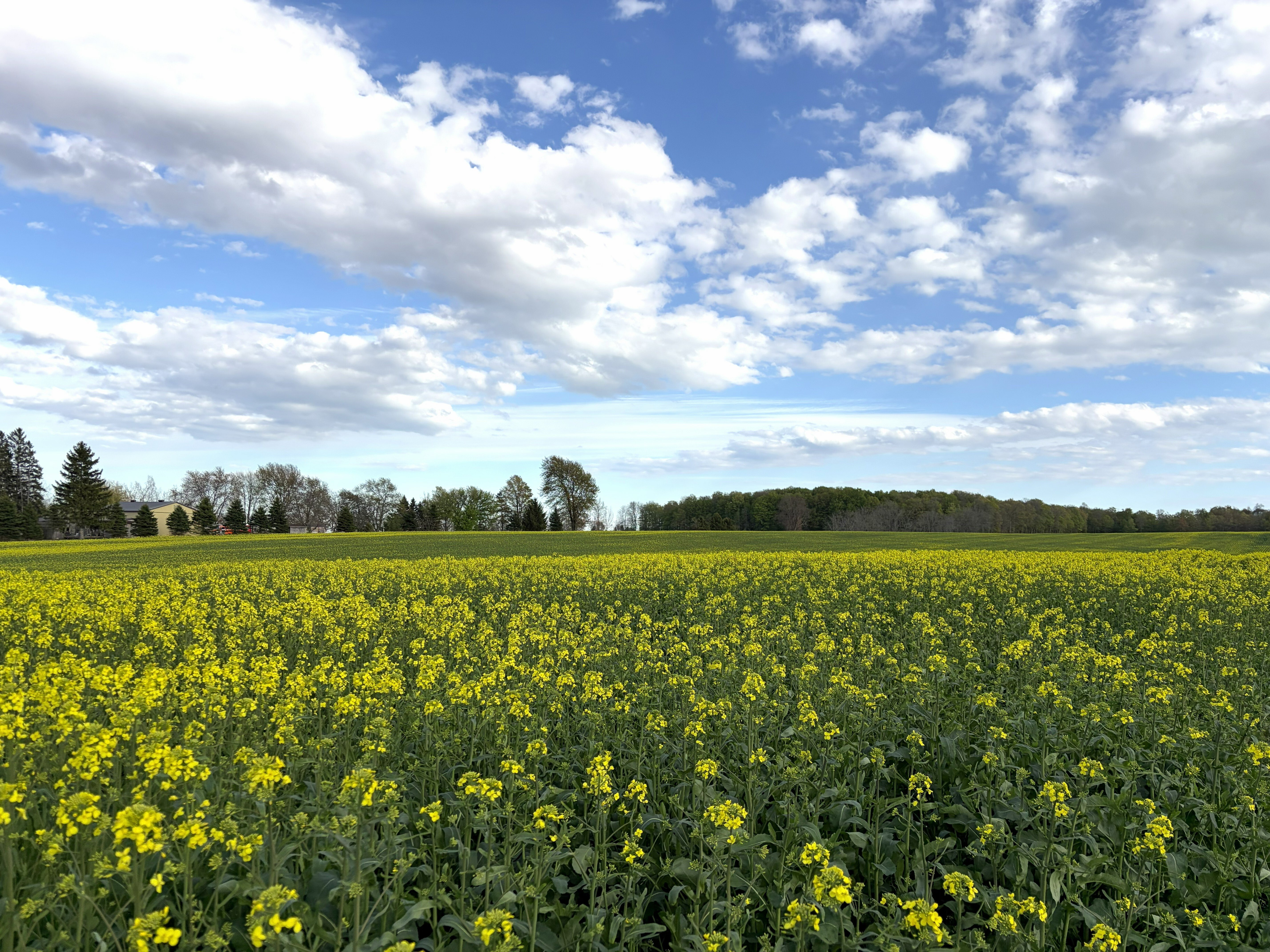 Vive Crop Protection Builds Canadian Commercial Team
