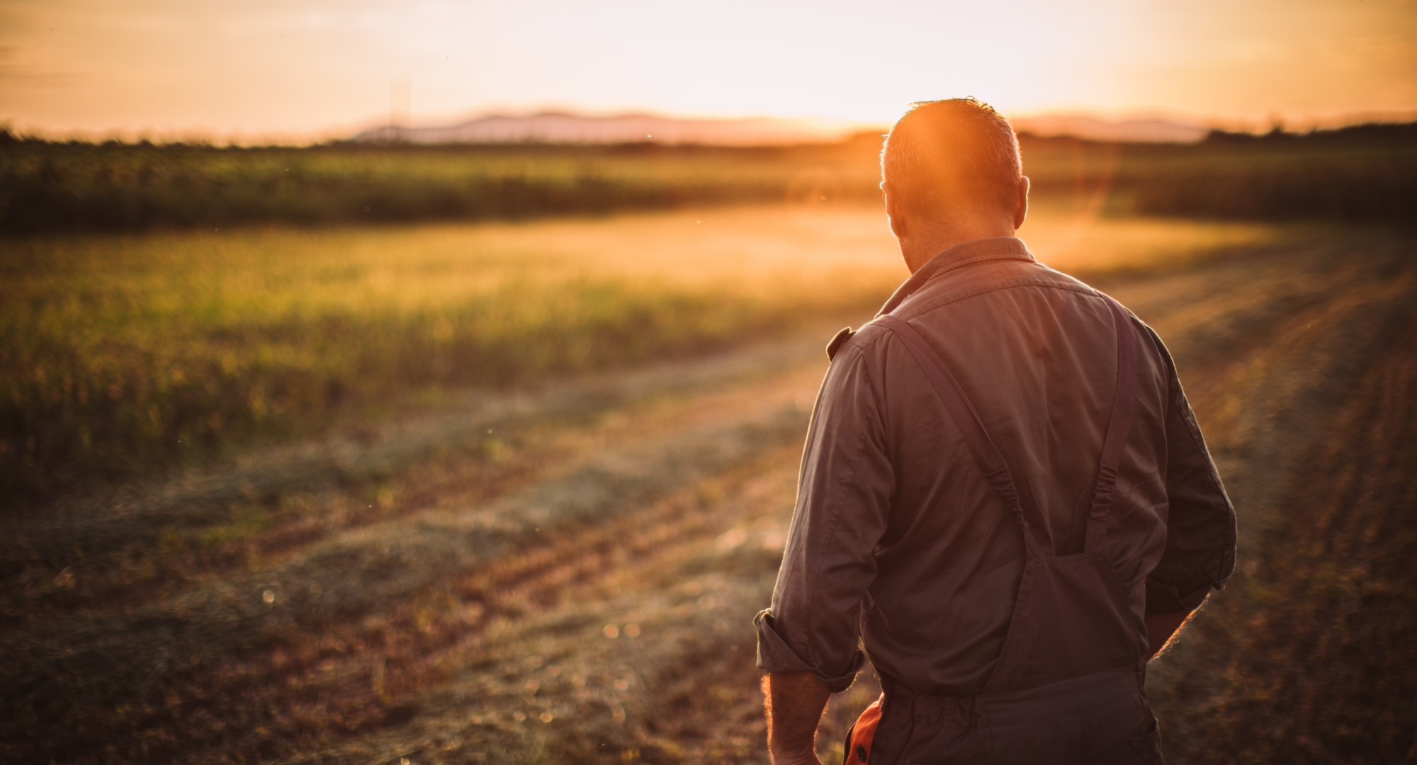 Vive Grows Canadian Commercial Leadership Team