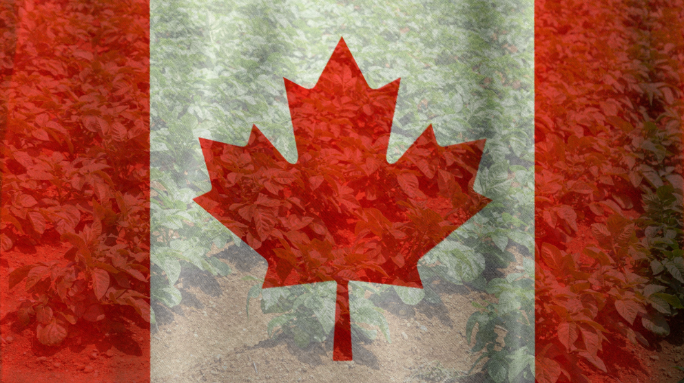 Vive Grows Canadian Commercial Leadership Team