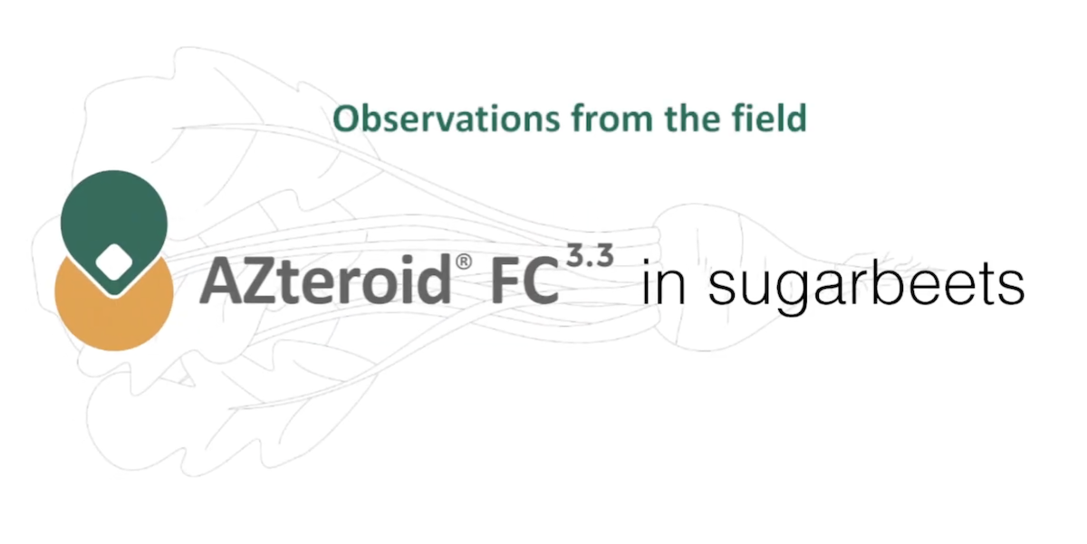 AZteroid FC 3.3 Sugarbeet Compilation