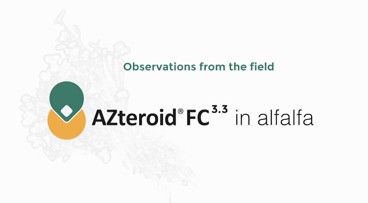 Grower Testimonial: AZteroid FC 3.3 and Alfalfa