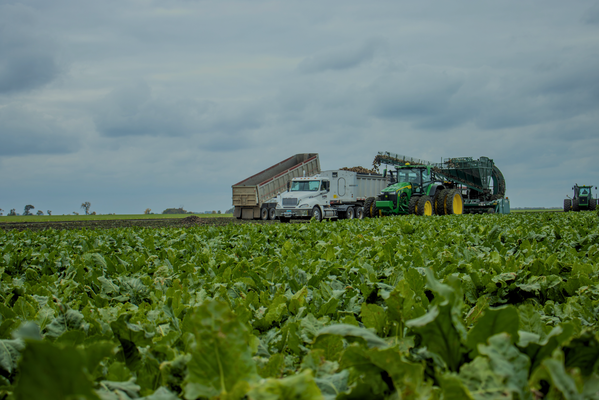 Building Blocks for a Stronger Sugarbeet Program